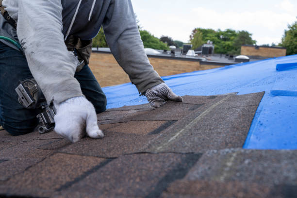 Best Metal Roofing Contractor  in Fairfield Bay, AR